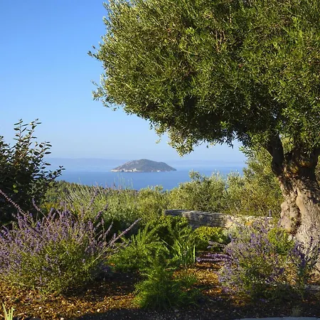 Matelia Chalkidiki