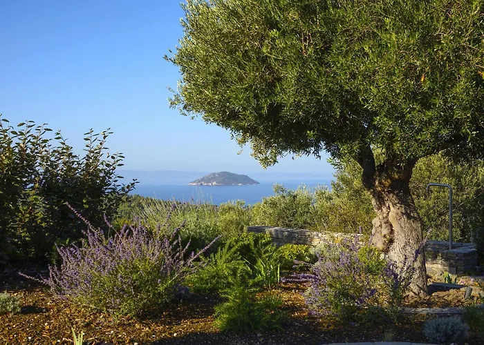 Matelia Chalkidiki