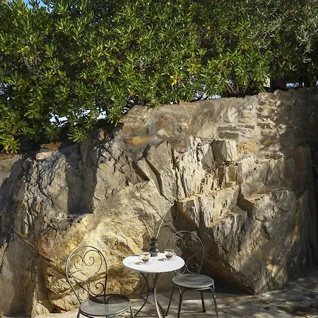 Matelia Chalkidiki *