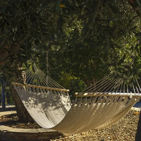 ヴィラ Matelia Chalkidiki